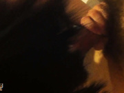 超清純美眉認真口活后背后入猛操 高清露臉 還是粉木耳