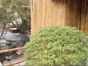 户外超刺激无套性爱 紧张到极点