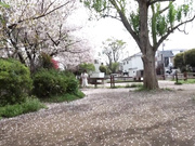 [TENN-010] 天使な彼女 Vol.4 笠木いちか - 1of5