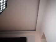 每天早上她都这么叫我起床