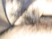 獨家推薦 外地出差酒店開房強幹美艷的公司文傳部同事 穿著黑絲挑逗各種體位幹得高潮不斷 逼逼被玩多得黑了 720P高清無水印