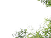 [SNIS-051] 新人NO.1 STYLE 宇佐美まいAVデビュー【破解】 - 1of5