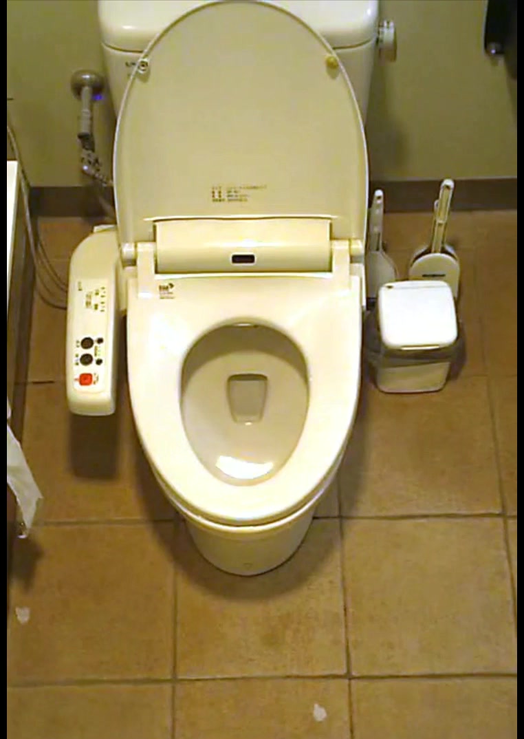 最新流出某商場公共女廁坐廁偷拍到的各式美女少婦如廁 俯視鏡頭對著逼毛拍攝看得讓人欲火焚身 原版高清