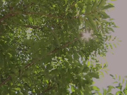 年迈公公趁儿子睡觉和儿媳妇偷欢