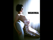 精品推薦 色影大師王動WANIMAL官方出品VIP視圖-奔放狂野的性愛 爆乳美女極度香艷 1080P高清原版