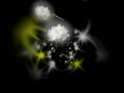 H0930 ki240723 定野 真知子 43歳