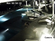 網爆門事件！香港某星級酒店一對情侶趁著夜晚沒人在頂層遊泳池啪啪被監控拍下流出視頻 720P高清