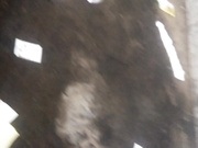 某縣城菜市場旁邊公共旱廁拍攝到的漂亮小少婦如廁 肥嫩大屁股看得誘惑十足～1080P高清