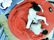 主題酒店情趣圓床房拍攝到的一對熱戀年輕情侶開房愛愛 互舔摳穴爽得淫叫不停喊老公癢死了 露臉高清