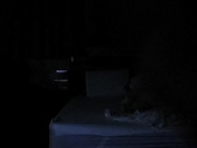 精品推薦 韓國熱戀小情侶賓館鐘點房瘋狂愛愛 主動愛撫親吻張開雙腿給操 叫床聲銷魂 1080P高清原版