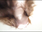 极品商务模特系列-美乳商模思思の淫欲夜 完美身材 深喉口交 骑乘顶操 放声淫叫 完美露脸 高清无水印完整版