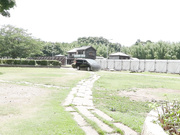 SDJS-342 ―SEXが溶け込んでいるSOD― AD研修中に「常に性交」宣伝部 松永あかり - 1of5