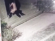 小区保安监控现场观看❤️兰州老街情侣野战饥渴女友骑乘榨精，8分钟无水印完整版