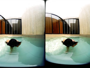 Girl with big tits in the pool