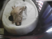 精品情趣酒店圆床偷拍年轻情侣开房啪啪床的各个方向都玩了一遍