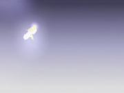 (無修正) BOIN レクチャ2