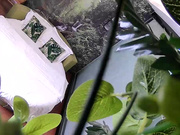 清新自然房不太持久的小伙提前开好房等待苗条年轻长发妹子来打炮听对白貌似是援交妹操完穿衣服就走