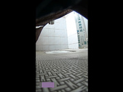 某寫字樓公廁盜錄白領美女如廁（三）-高清720P