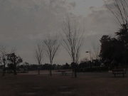 [EBOD-583] 現役女子大生运动员AV出道 市川沙緒里21歳