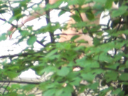 大站新流出长焦距清晰TP室外公共温泉各种类型年龄段的裸体美眉泡澡好多诱人美体有几个妹子身材奶子堪称完美