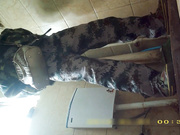 某站最新流出女厕高清露脸几个高颜值美眉戴名表潮妹的卫生纸擦完鼻子再擦逼