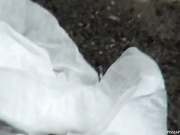 盗站最新流出题材类作品拍公共场合内急难耐的美眉们嘘嘘尿量都很充足美女尿内裤上直接把内裤丢了