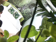 有点痞的色男进屋就迫不及待的想要亲热殷勤的帮忙脱衣上床开战长发妹子屁股肥大啊啊嗲叫不止给干到高潮了