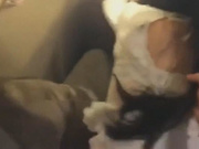 大神秦先生与兼职模特琪琪电影院厕所激情