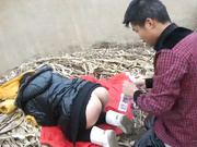 与性经验不是很多的腼腆农村妹子户外玉米杆堆上教她如何口交啪啪轻轻一搞就出淫水对白淫荡