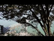 SPRING BLOWJOB - LUNA'S JOURNEY (EPISODE 5)