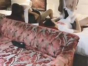 明星博主『梦菲』大尺度私拍流出 群P乱操 漂亮美乳 黑丝女神 高清720P版