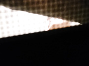 骚货儿媳妇洗澡