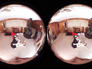 Malificent Lotus Disciplines Mae West