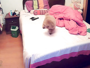 【精品推薦】【360水滴居家系列】稀缺家庭攝像頭黑客破解拍攝到的離異人妻少婦寂寞發春裸體日常 720P原版高清