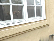 PropertySex房东和房客制作自制性爱视频