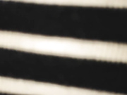 酒店约操成熟小人妻高潮干的津津有味01